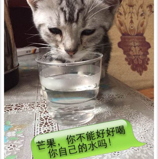 湘潭大学学位证查询